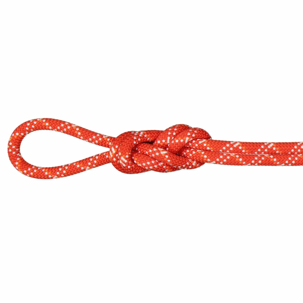 Mammut 9.5 Gym Classic Rope - Image 2