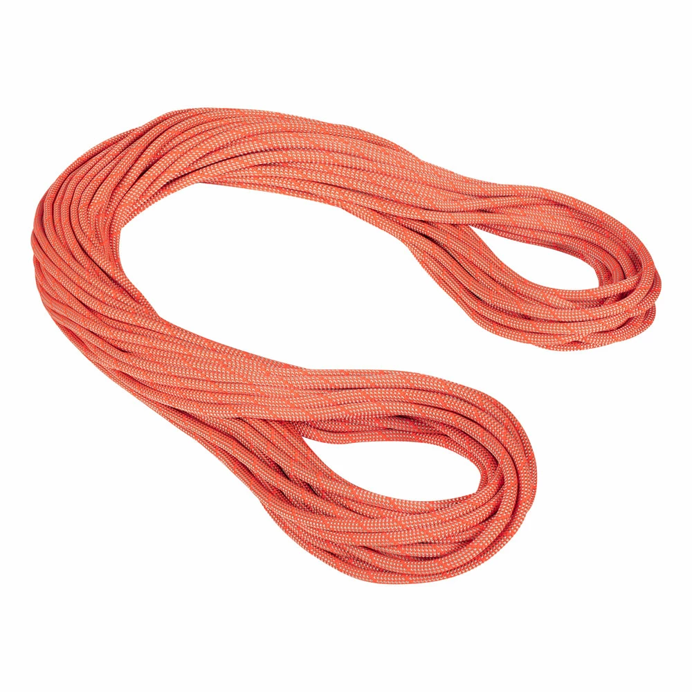 Mammut 9.8 Crag Classic Rope