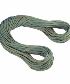 Mammut 9.9 Crag Workhorse Dry Rope