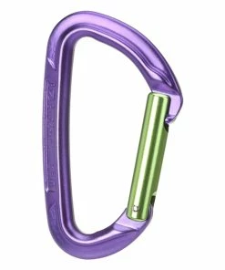 Wild Country Session Straight Gate