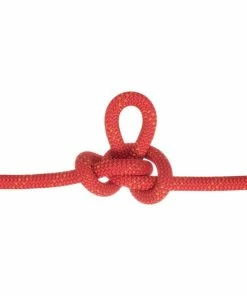 Edelweiss Flashlight II 10.0mm