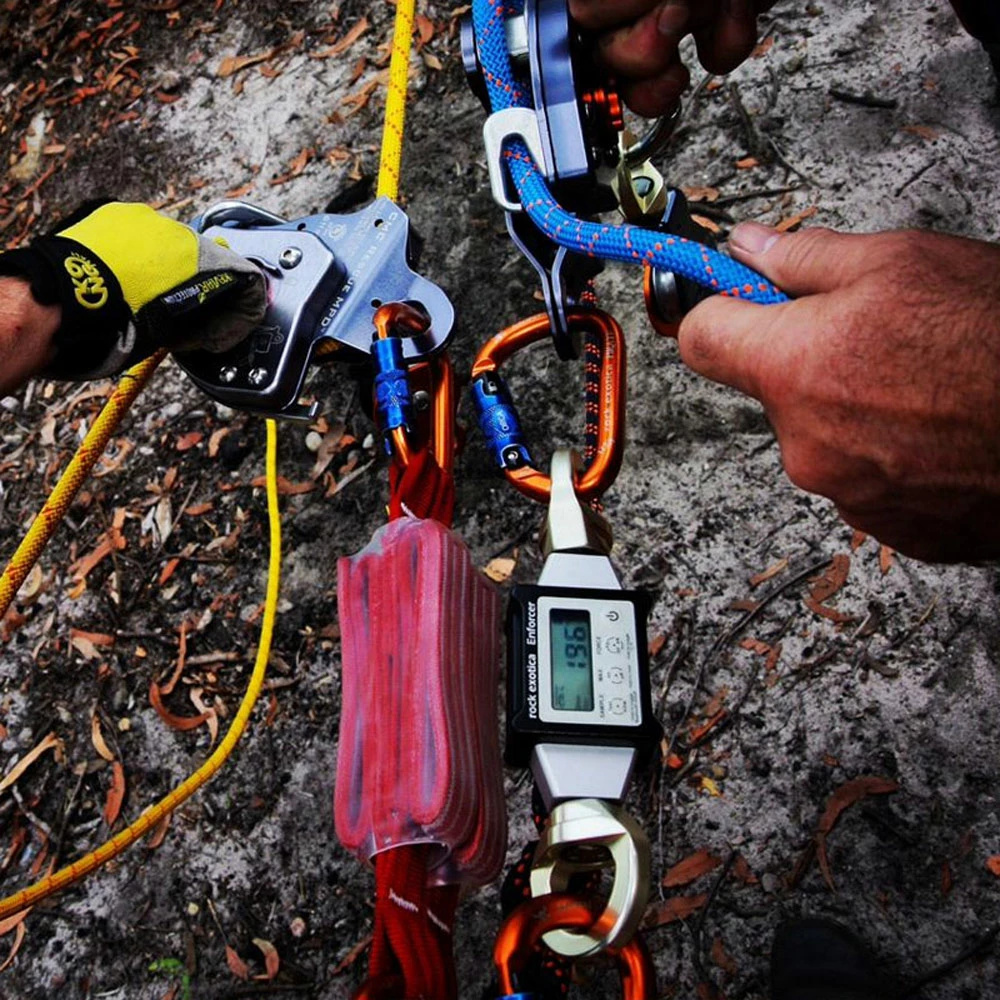 Rock Exotica EnForcer - Image 5