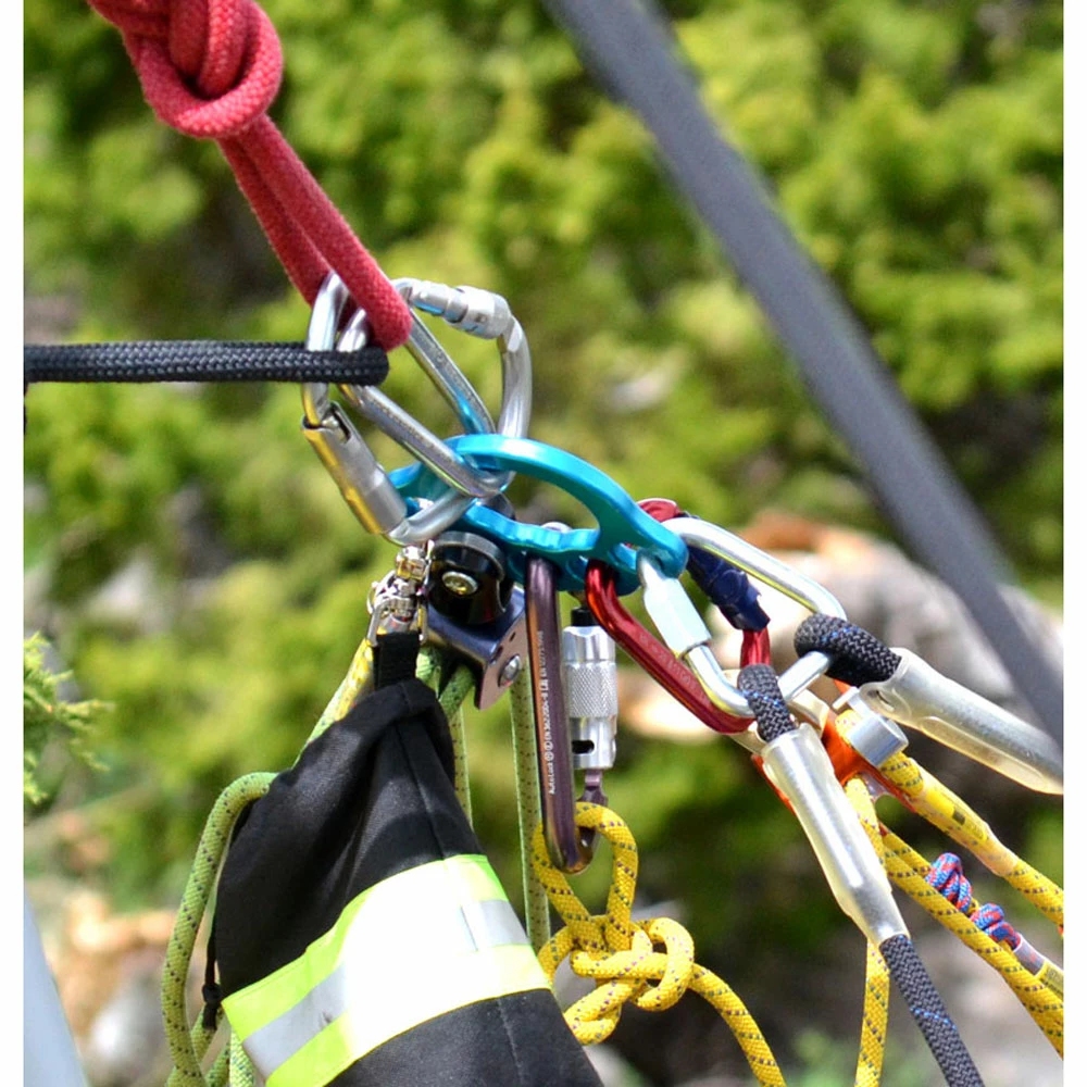 Rock Exotica PentaPlate - Image 3