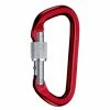 SMC Aluminum Locking D Carabiner